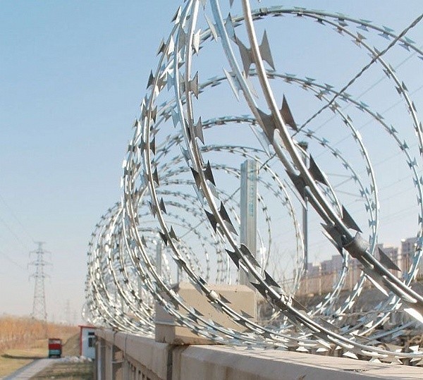 Elektrogalvanized1.5mmx1.5mm Diamond Welded Razor Wire Mesh 3