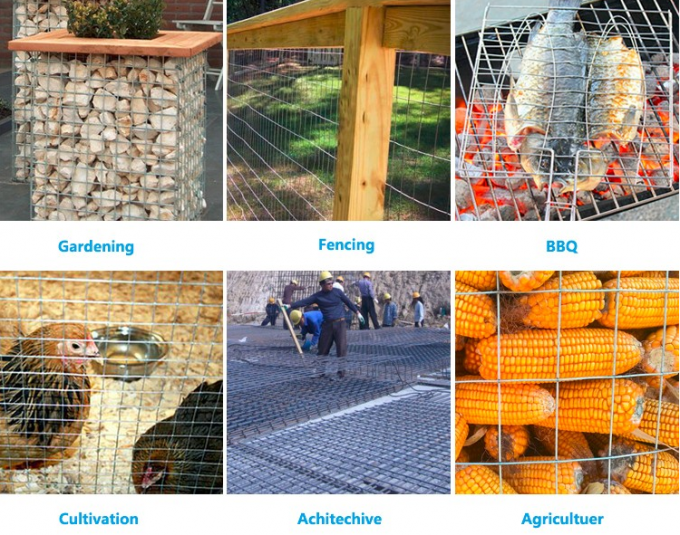 6ft galvaniseerde het hete ondergedompelde gelaste broodje van het draadnetwerk het gelaste netwerk schermen 2