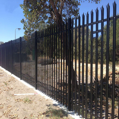 New design cheap price D type w type  palisade fence for garden and industry