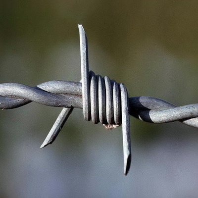 high quality barbed wire price per roll / galvanized barbed wire mesh stainless steel barb wire fence roll