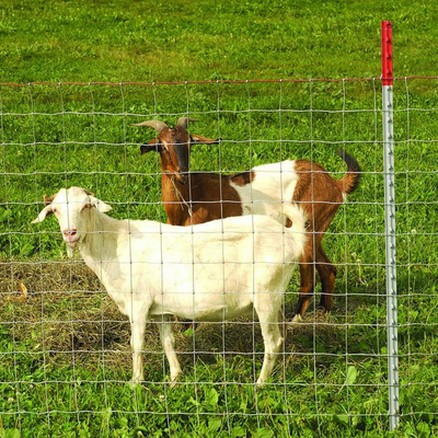 Factory supply is cheap Galvanized mesh roll Deer field farm fence