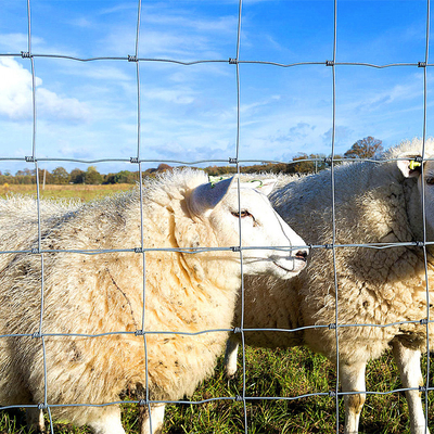 Factory supply is cheap Galvanized mesh roll Deer field farm fence