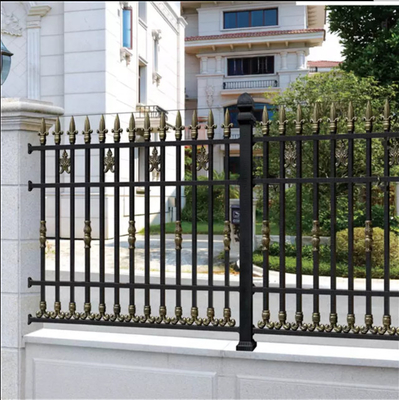 Hot dipped galvanized security steel  D type W type palisade fencing