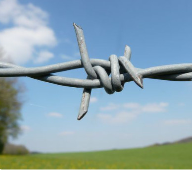 16G galvanized wire barbed fencing 100m, 250m 500m 1.6mm barbed wire fence price per roll