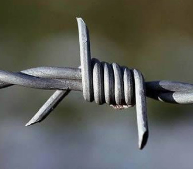 Hot sell high quality 14x14 16x14 galvanized barbed wire